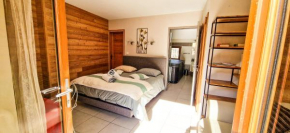 Les Clarines Perceneige - Chambre d'Hôtes Vue Sur Montagne & SPA